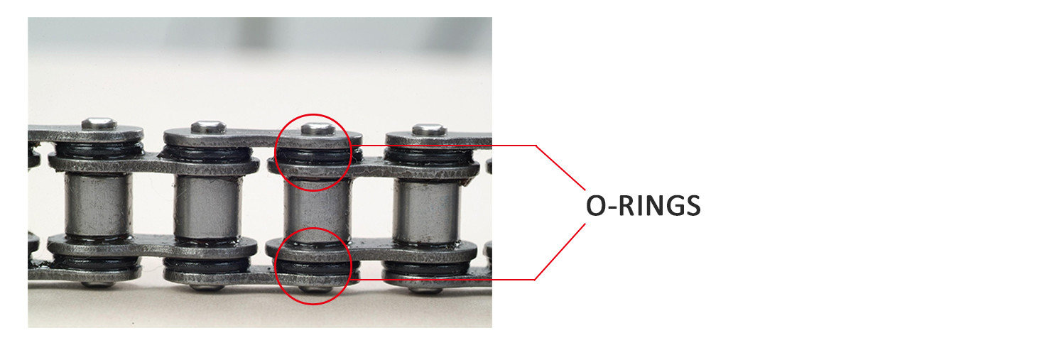 o rings of the chain