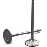 Motorcycle engine valves