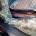 mold in car due to moisturoise