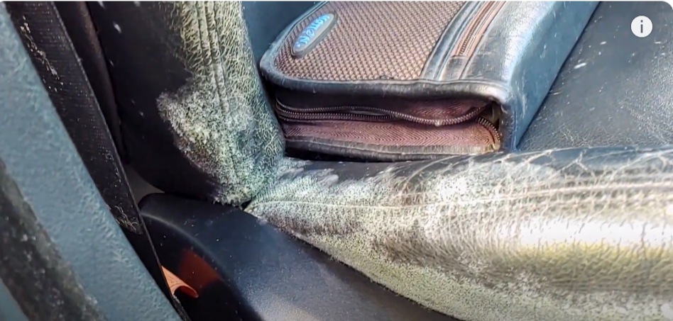 mold in car due to moisturoise