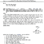 up ecce educator vacancy 2025
